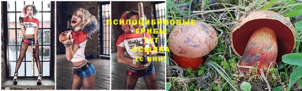 герыч Дмитриев