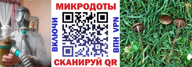 Псилоцибиновые грибы прущие грибы Онега